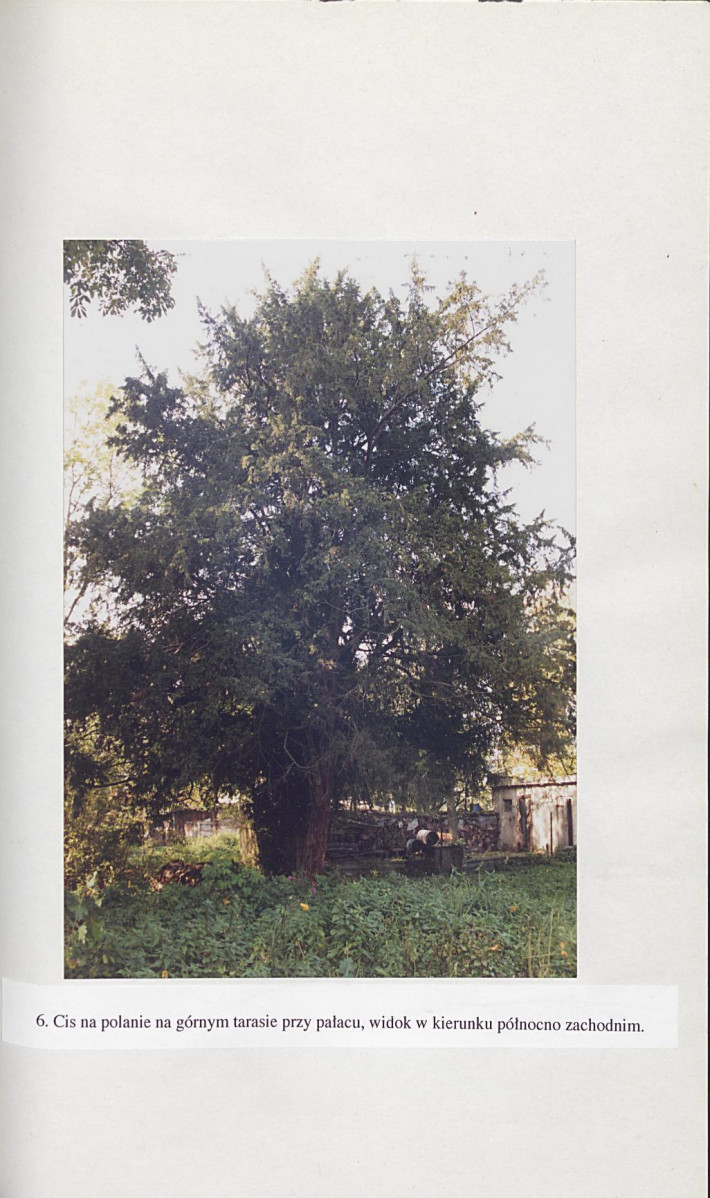 Ewidencja parkowa, skan nr 51