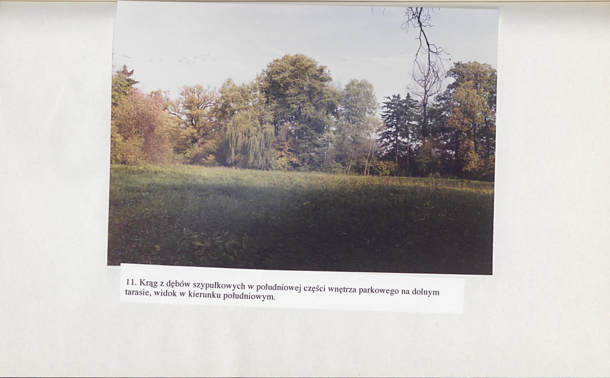 Ewidencja parkowa, skan nr 56