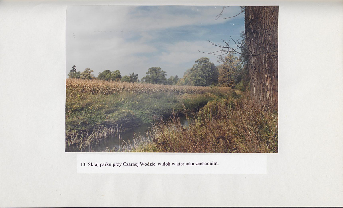 Ewidencja parkowa, skan nr 58