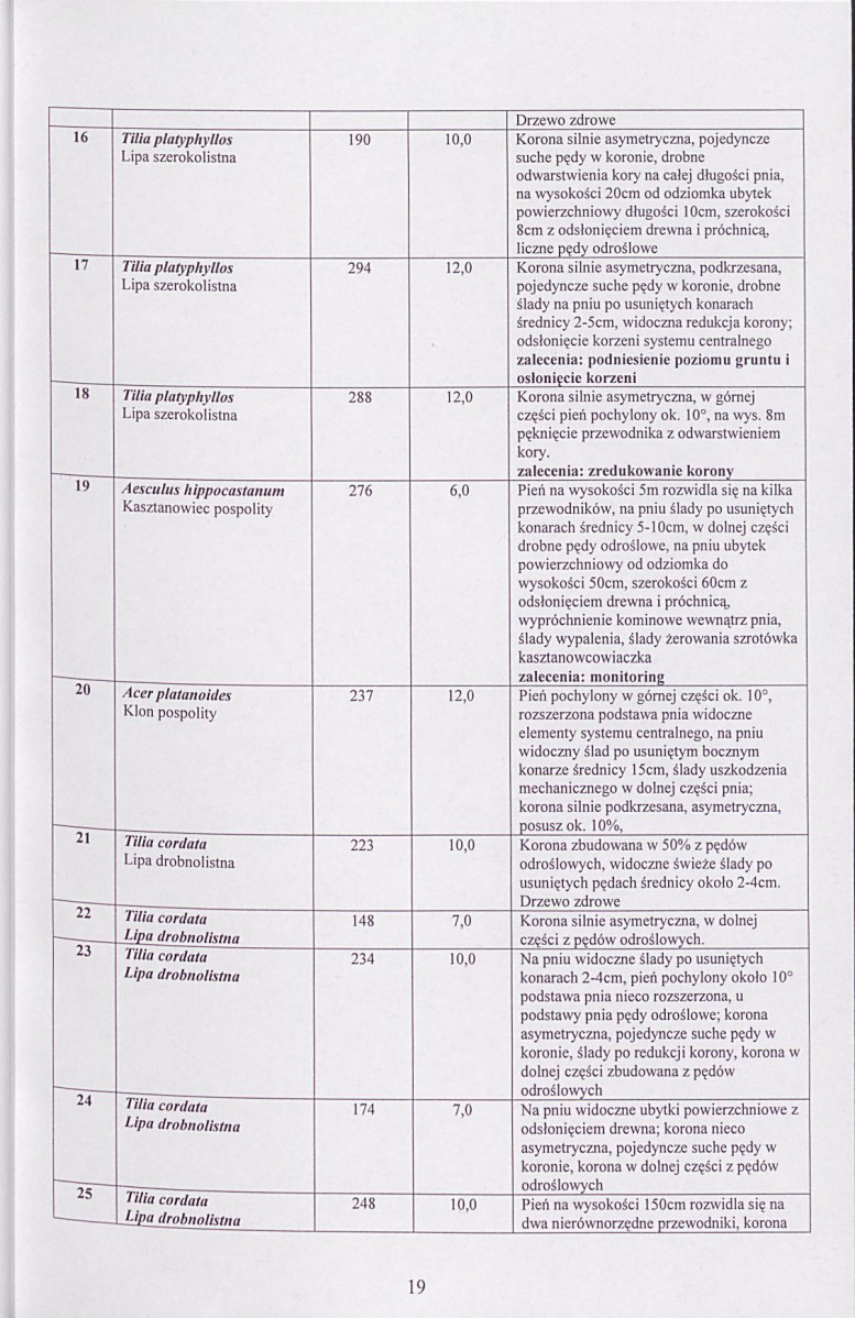 EP - Ewidencja parkowa, skan nr 31