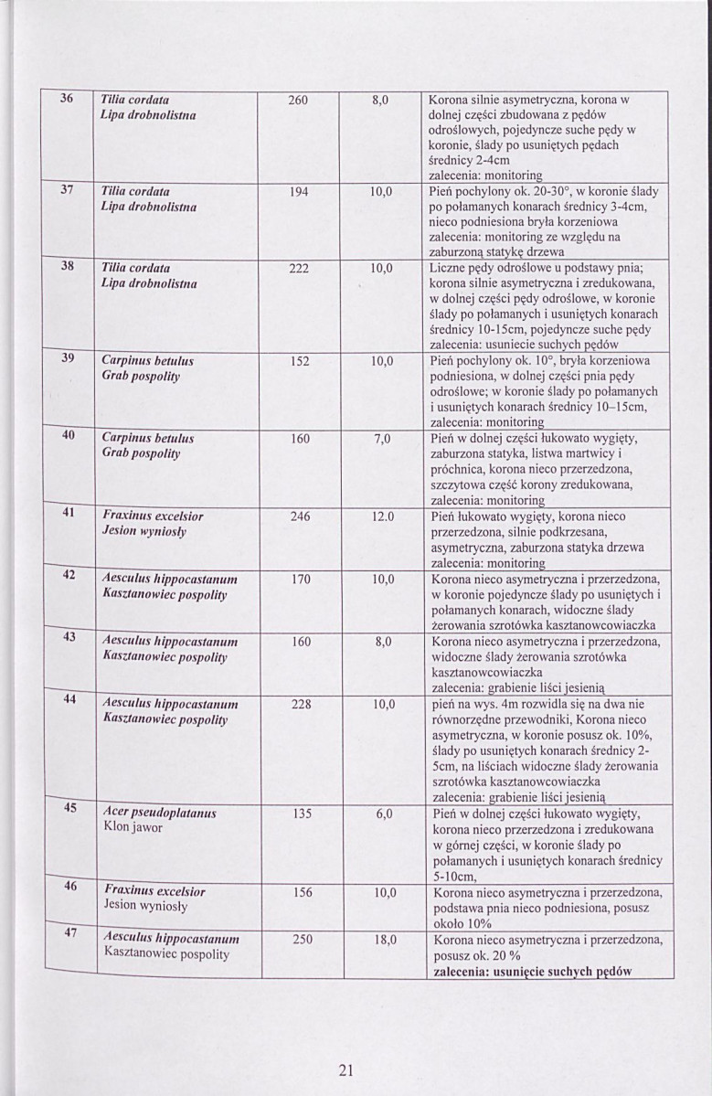 EP - Ewidencja parkowa, skan nr 33