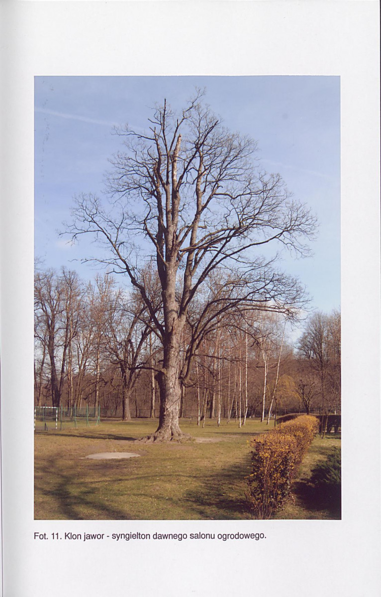 EP - Ewidencja parkowa, skan nr 56