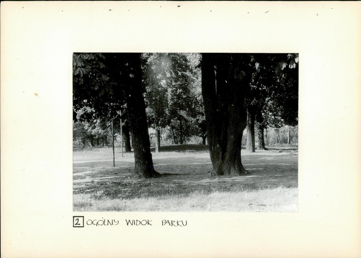 Ewidencja parkowa, skan nr 16