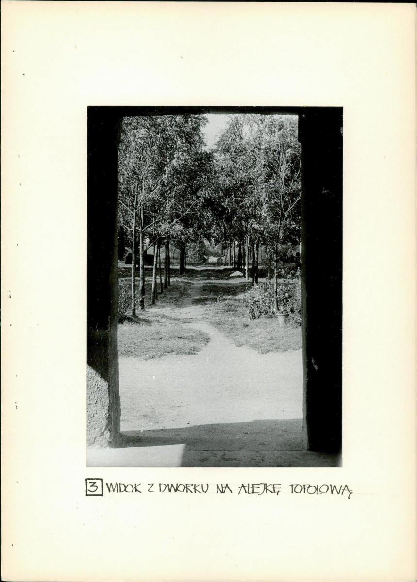 Ewidencja parkowa, skan nr 17