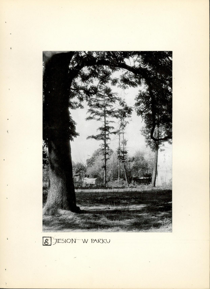 Ewidencja parkowa, skan nr 22