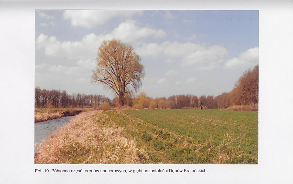 EP - Ewidencja parkowa, skan nr 64
