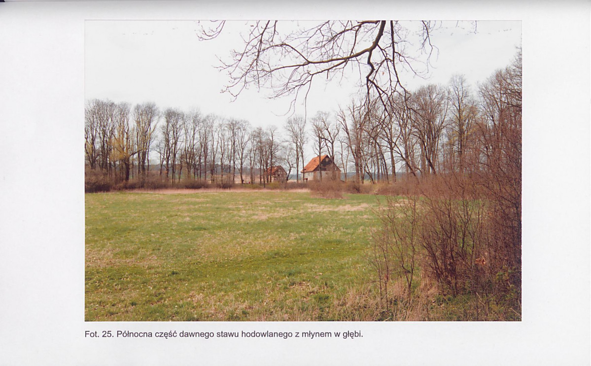 EP - Ewidencja parkowa, skan nr 70