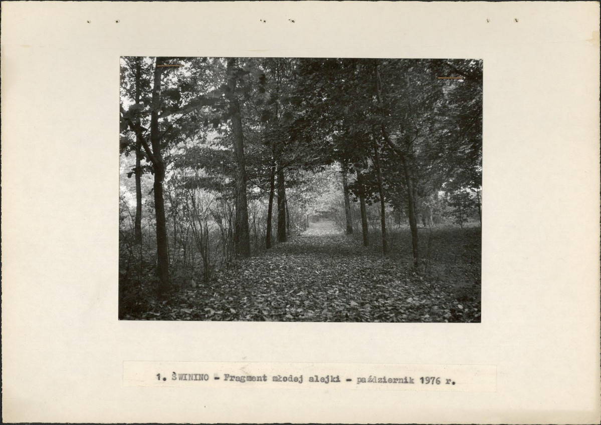 Ewidencja parkowa, skan nr 10