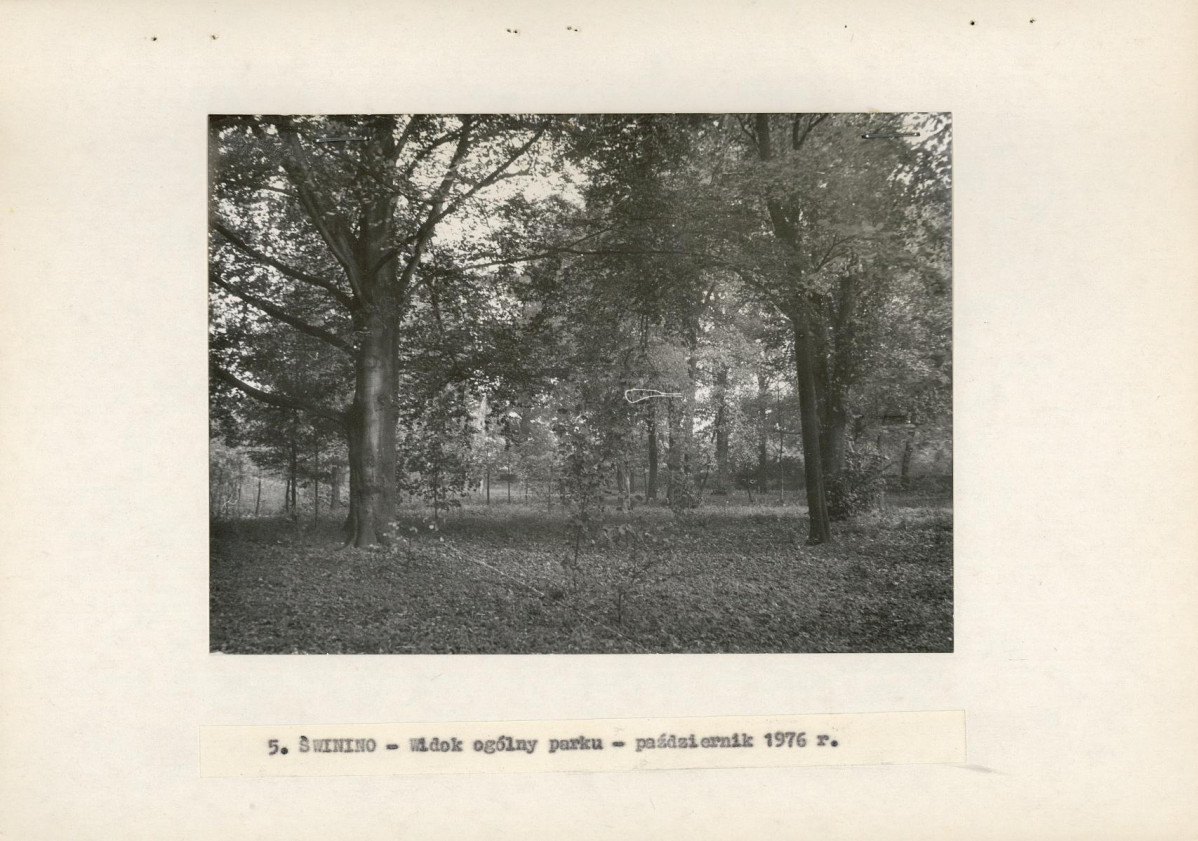 Ewidencja parkowa, skan nr 14