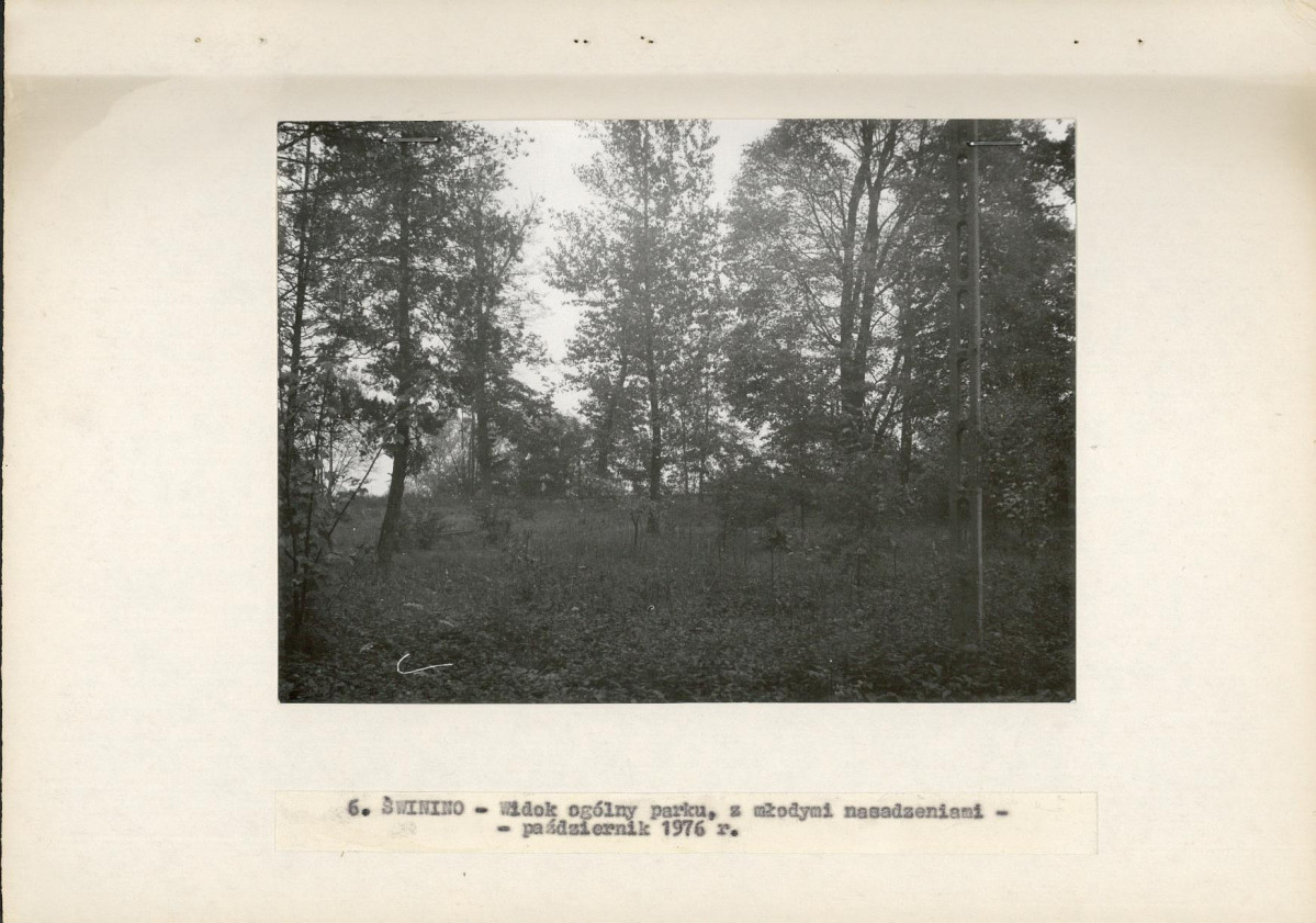 Ewidencja parkowa, skan nr 15