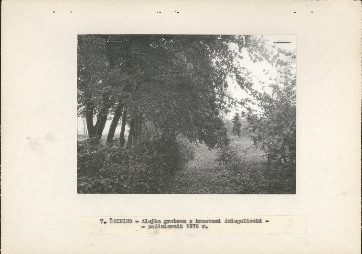 Ewidencja parkowa, skan nr 16