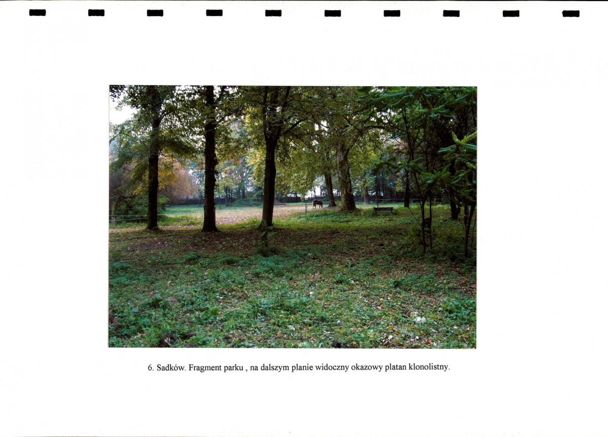 Ewidencja parkowa, skan nr 22