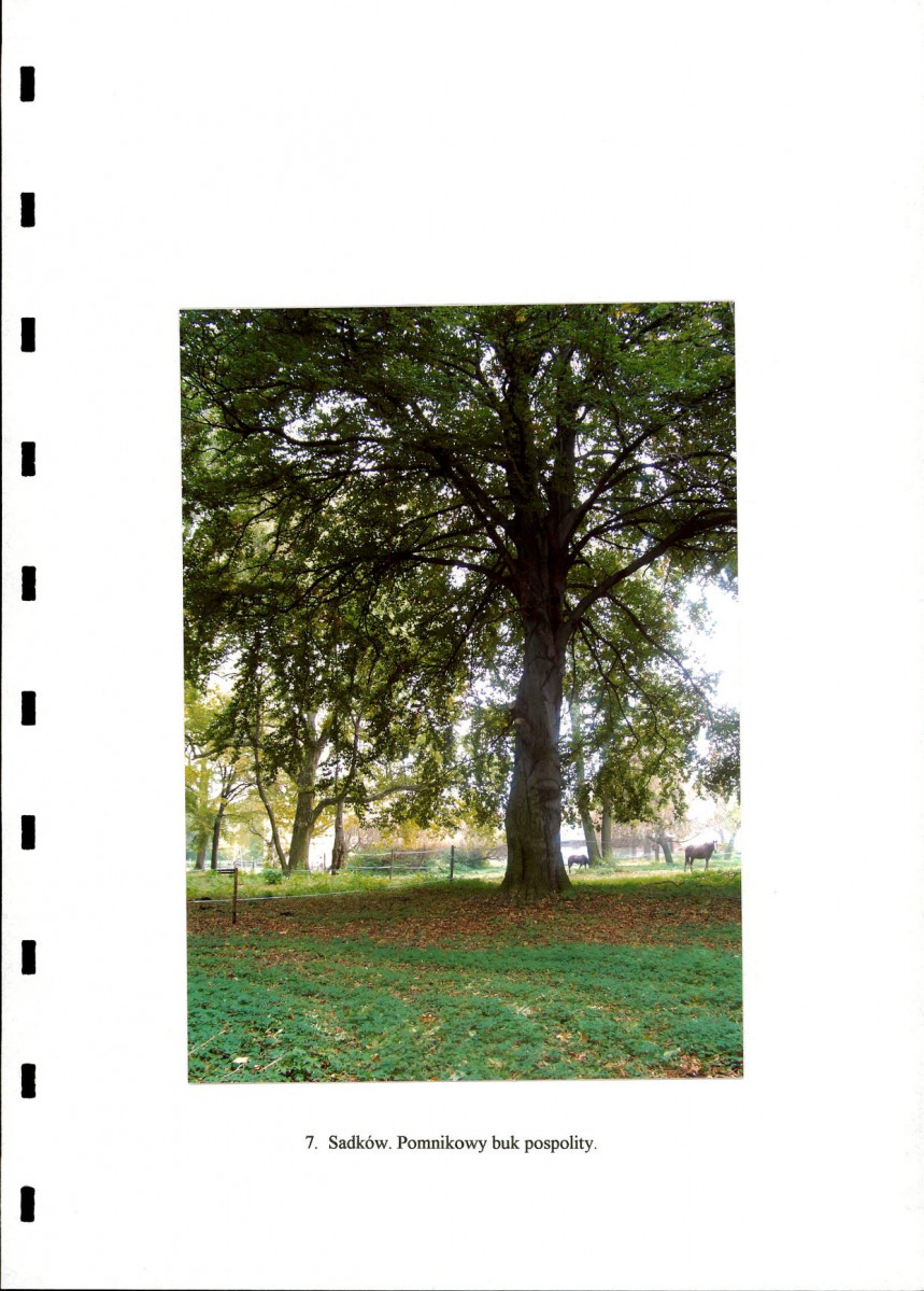 Ewidencja parkowa, skan nr 23