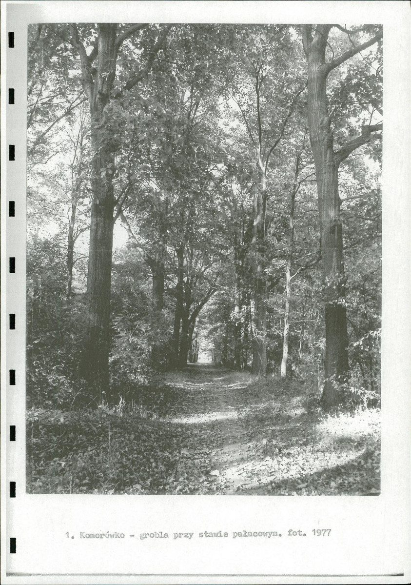 Ewidencja parkowa, skan nr 15