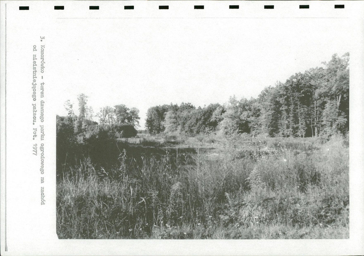Ewidencja parkowa, skan nr 17