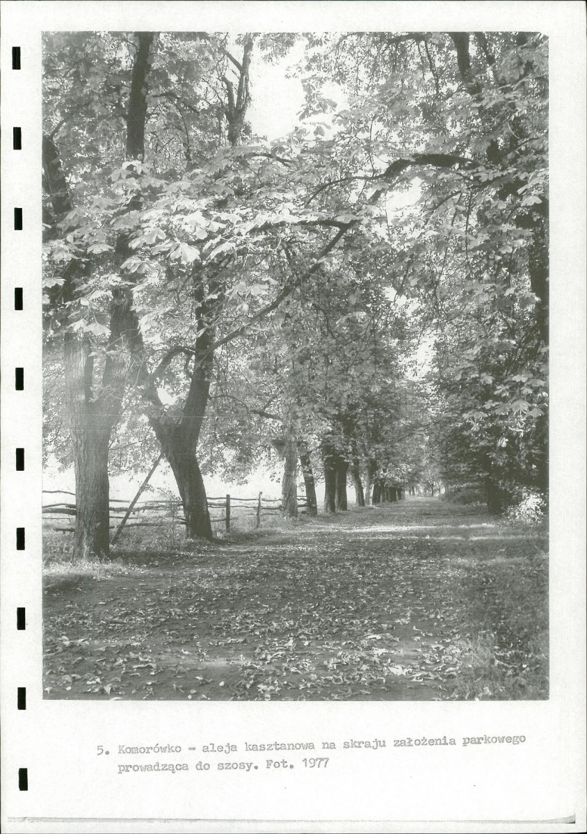 Ewidencja parkowa, skan nr 19