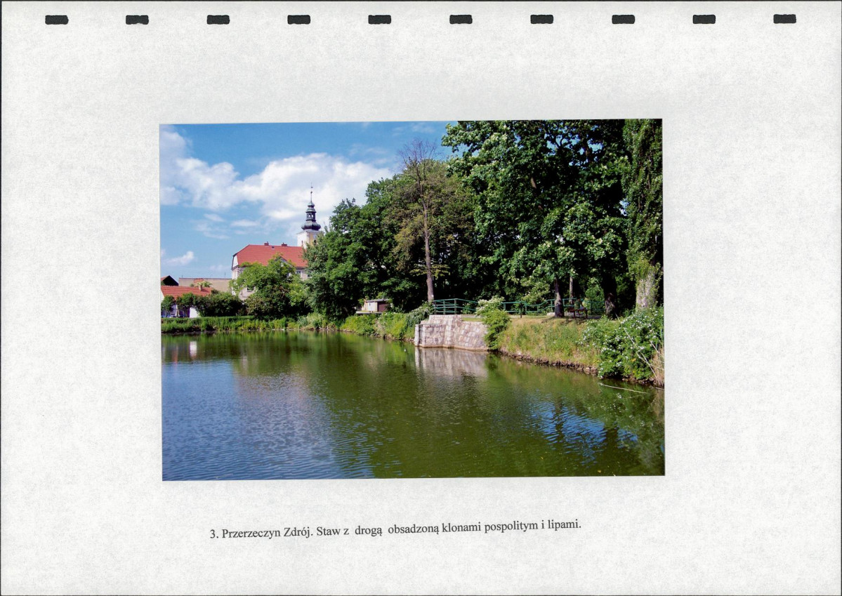 Ewidencja parkowa, skan nr 22