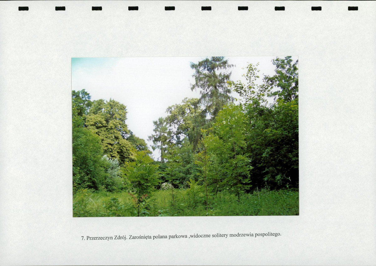 Ewidencja parkowa, skan nr 26