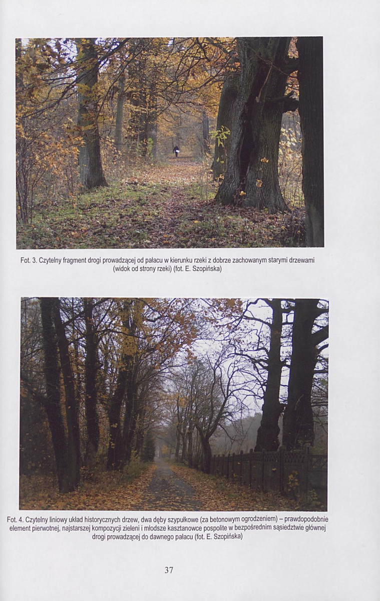 Ewidencja parkowa, skan nr 38