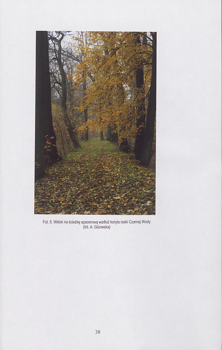Ewidencja parkowa, skan nr 39
