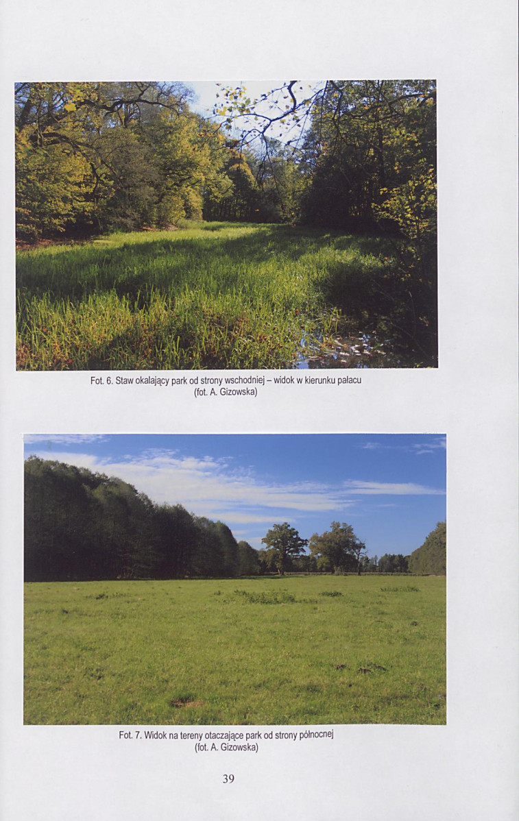 Ewidencja parkowa, skan nr 40