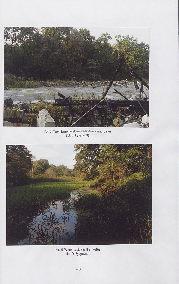 Ewidencja parkowa, skan nr 41