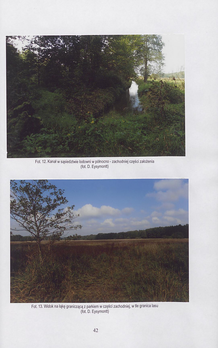Ewidencja parkowa, skan nr 43