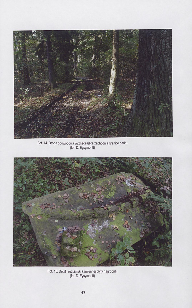 Ewidencja parkowa, skan nr 44