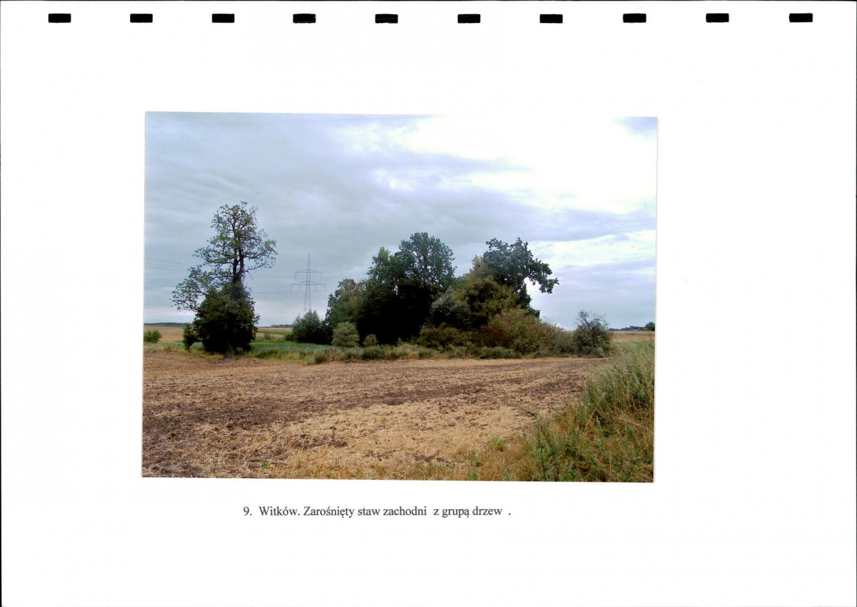 Ewidencja parkowa, skan nr 30