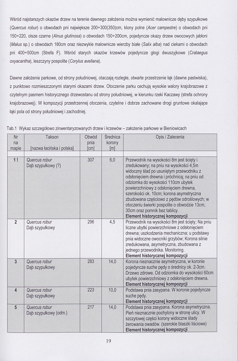 Ewidencja parkowa, skan nr 21