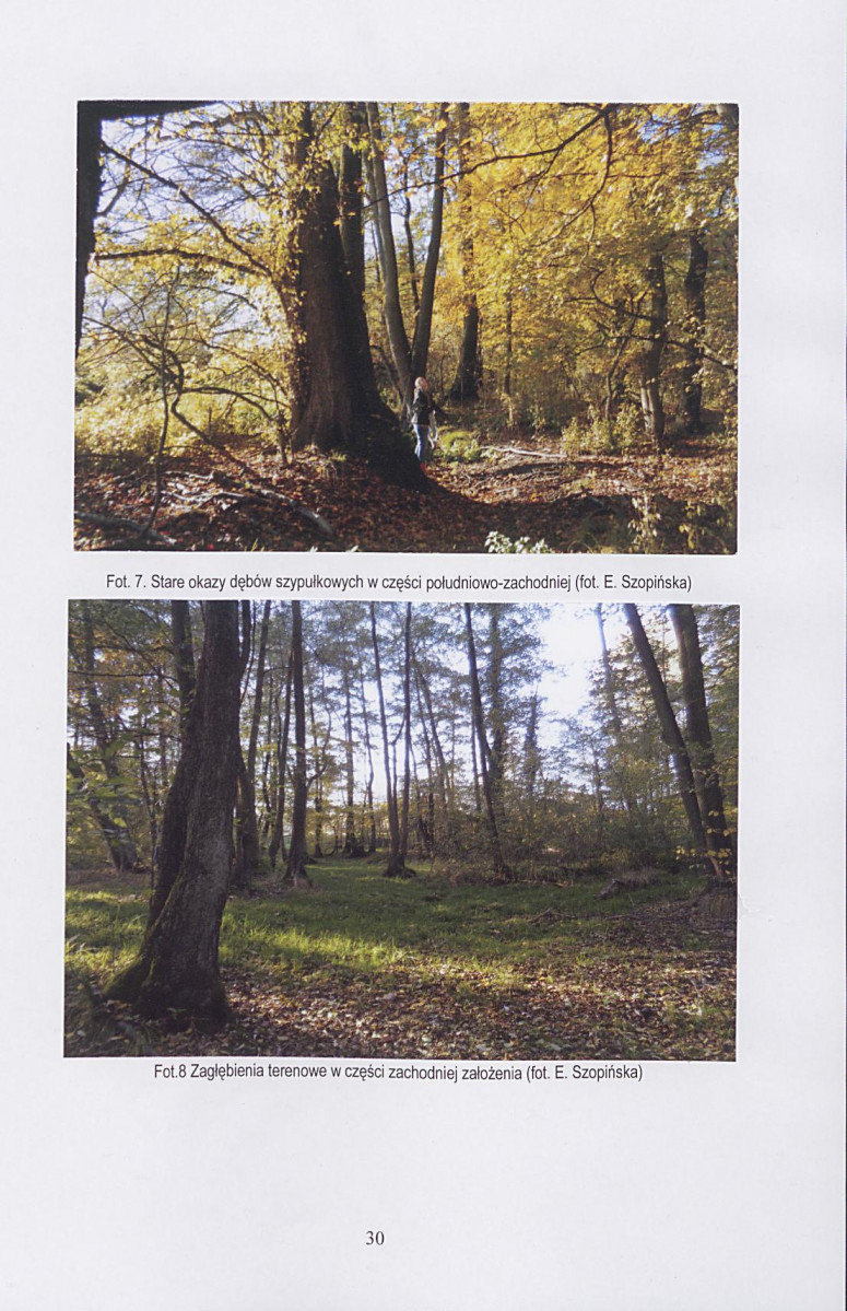 Ewidencja parkowa, skan nr 32