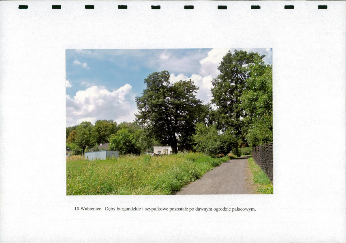 Ewidencja parkowa, skan nr 39