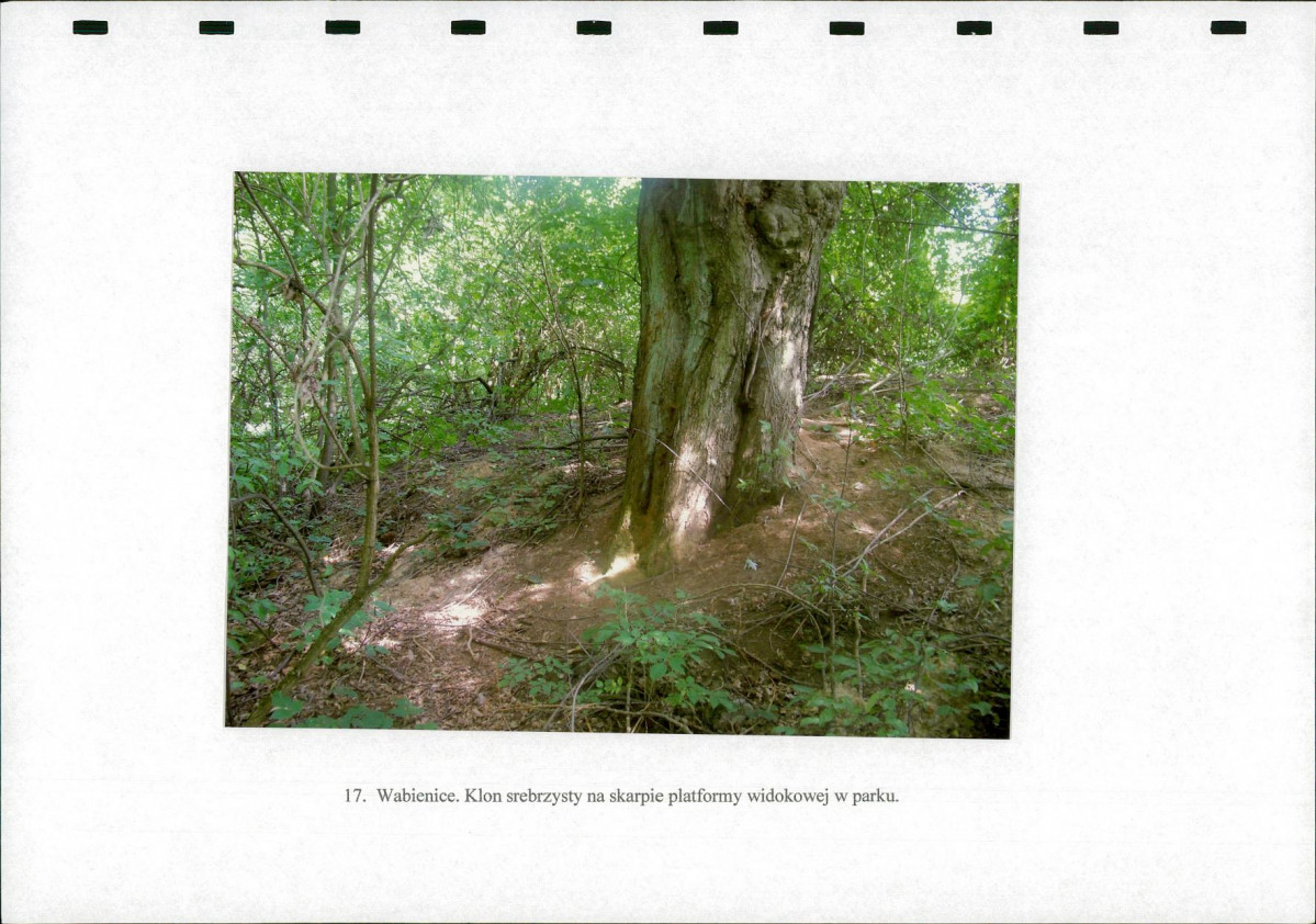 Ewidencja parkowa, skan nr 46
