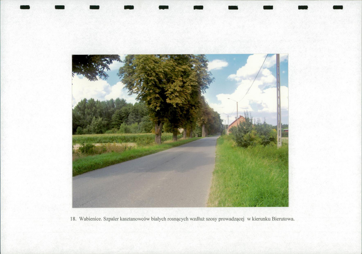 Ewidencja parkowa, skan nr 47
