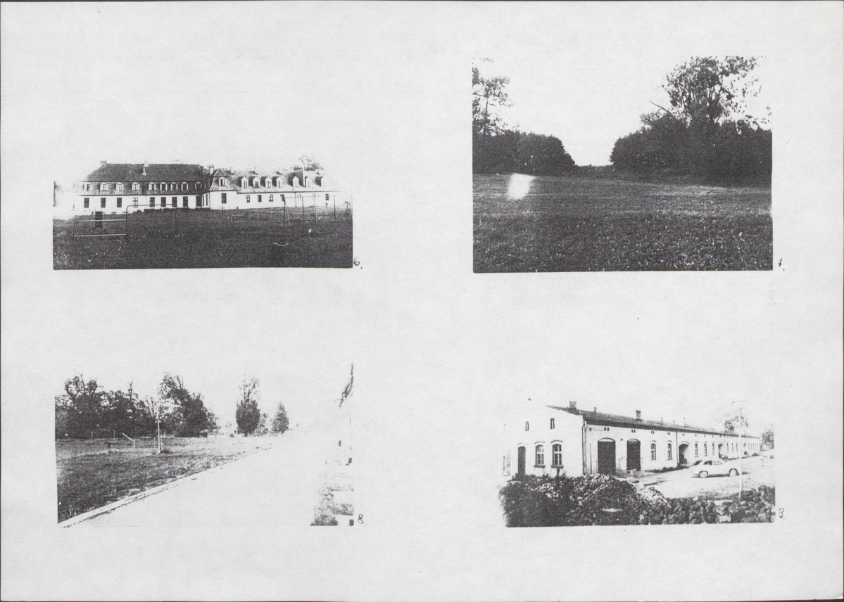 Karta biała, skan nr 8