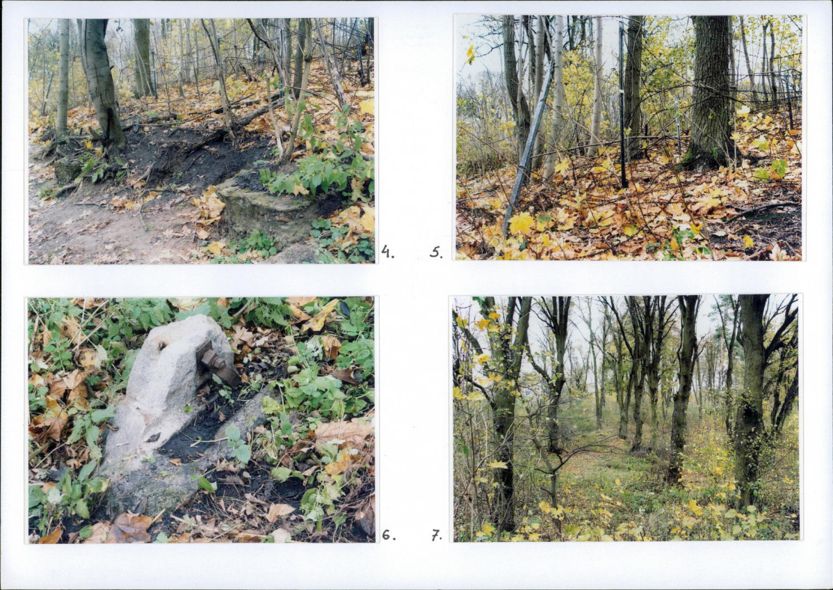 KB - Karta biała, skan nr 8