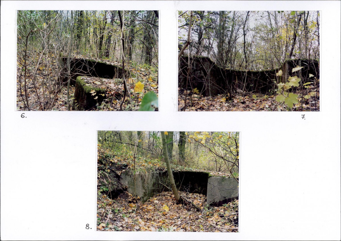 KB - Karta biała, skan nr 50