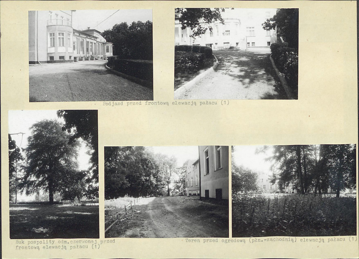 KB - Karta biała, skan nr 14