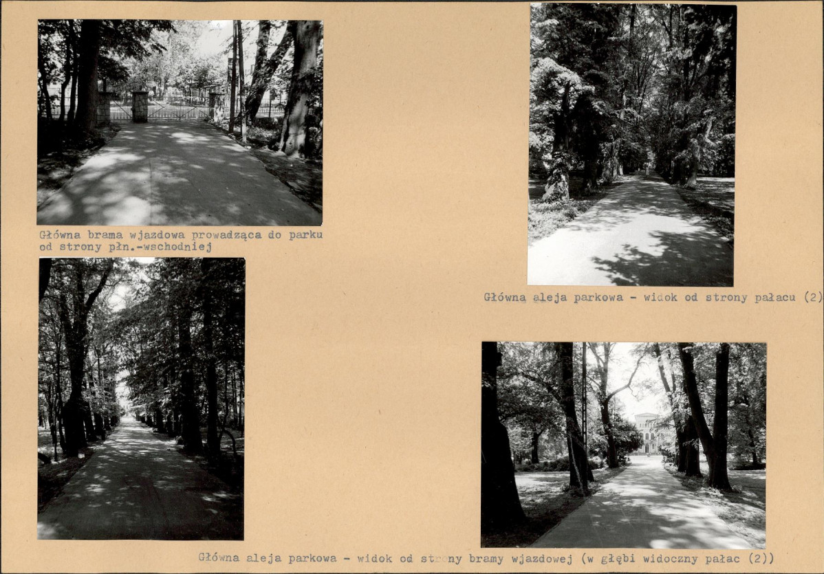 KB - Karta biała, skan nr 10