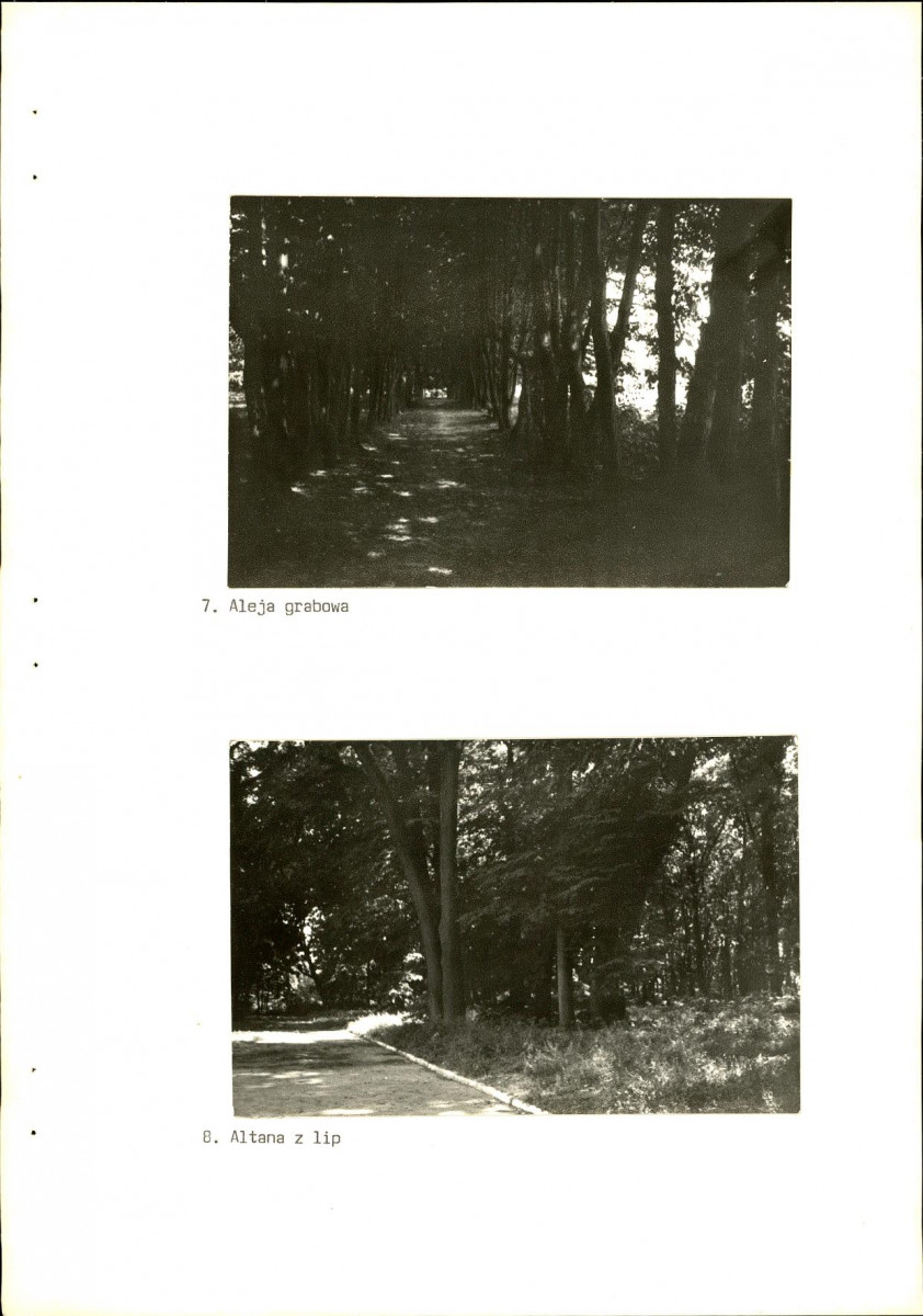 Ewidencja parkowa, skan nr 33