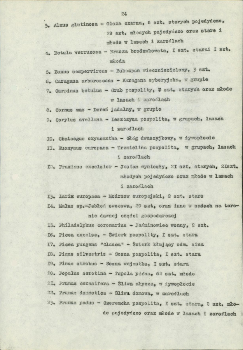 Ewidencja parkowa, skan nr 36