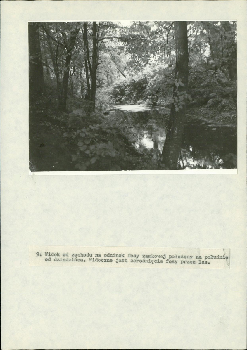 Ewidencja parkowa, skan nr 53