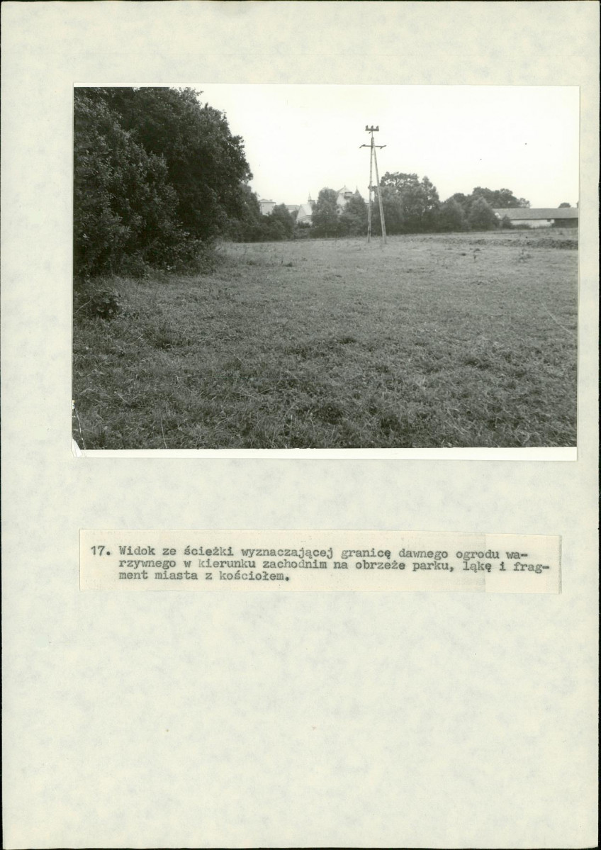 Ewidencja parkowa, skan nr 61
