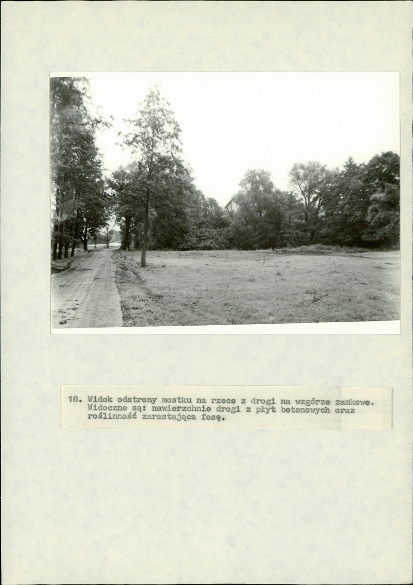 Ewidencja parkowa, skan nr 62