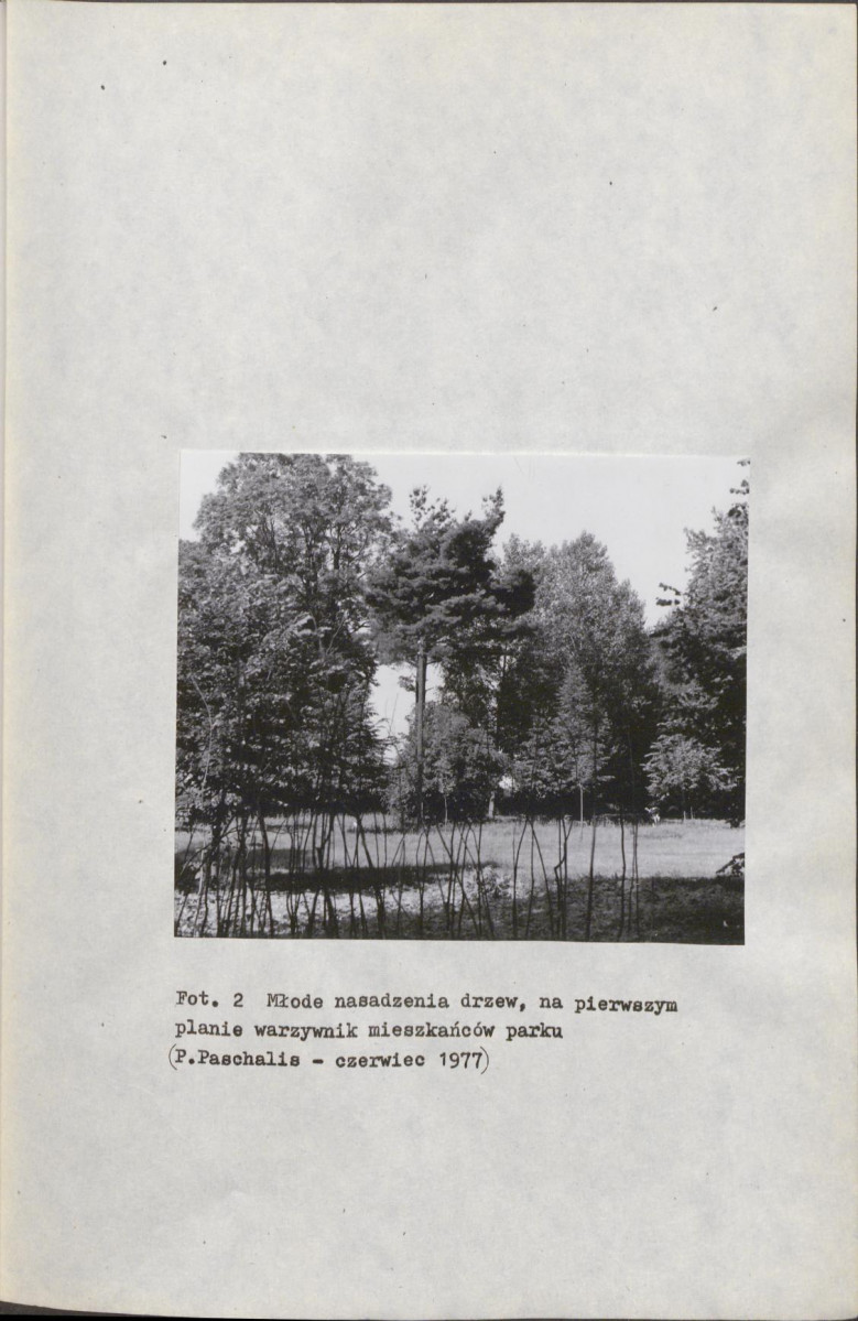 EP - Ewidencja parkowa, skan nr 21