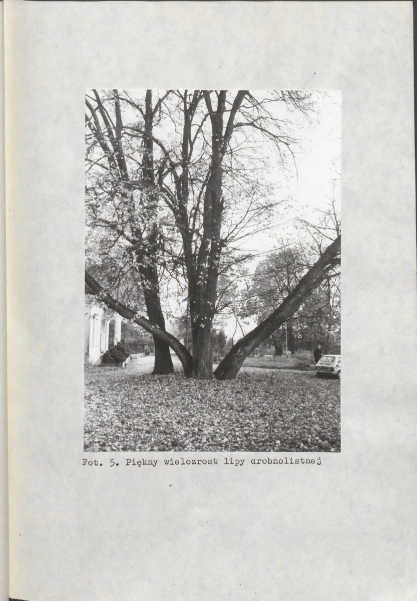 EP - Ewidencja parkowa, skan nr 27