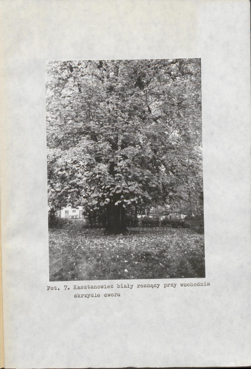 EP - Ewidencja parkowa, skan nr 29