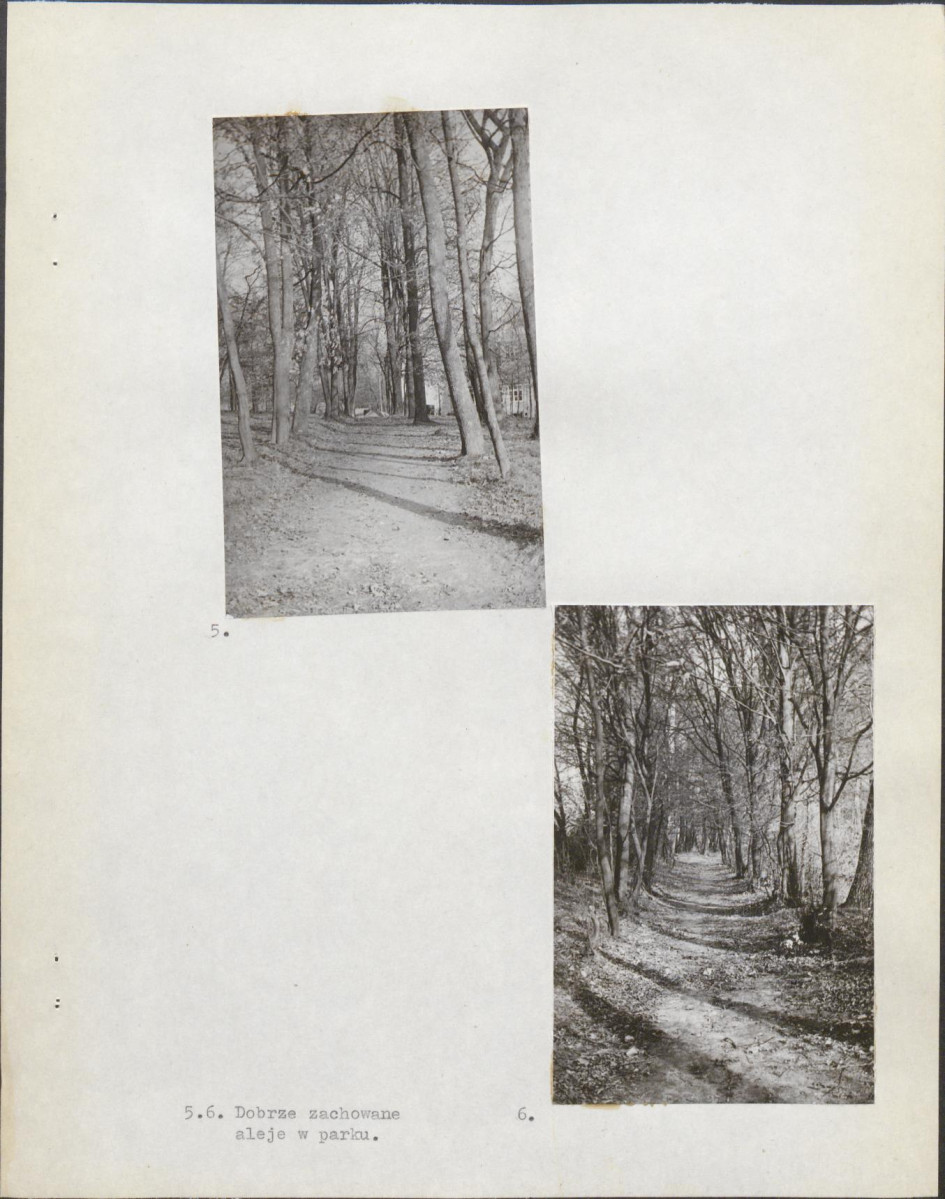 EP - Ewidencja parkowa, skan nr 8