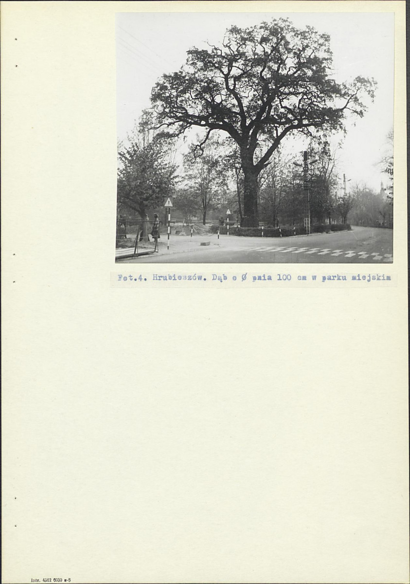 Ewidencja parkowa, skan nr 16