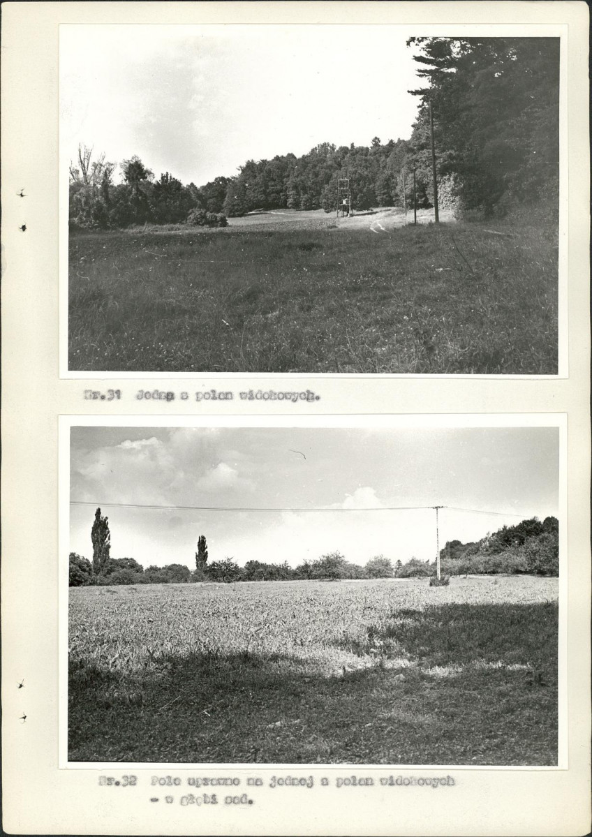 EP - Ewidencja parkowa, skan nr 47